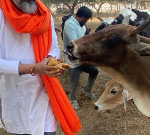 Animal Welfare & Gowshala Care