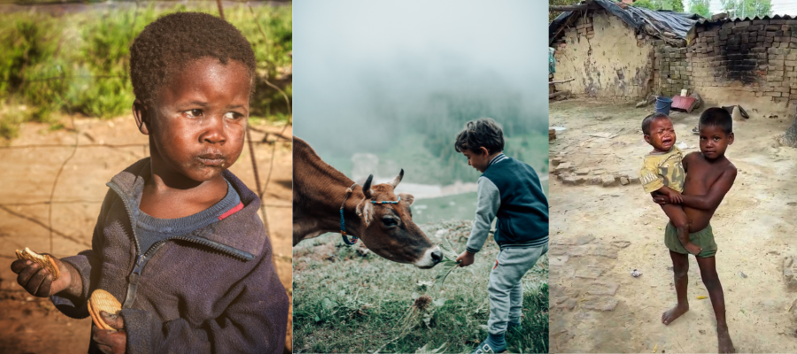 Real Impact Stories How Donations are Changing Lives and Communities