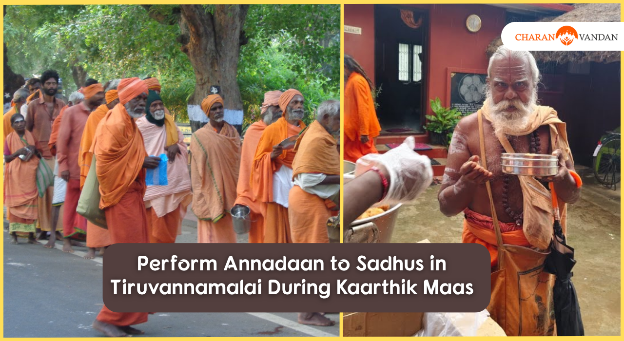 Sacred Annadan Seva at Tiruvannamalai during Karthika Maas