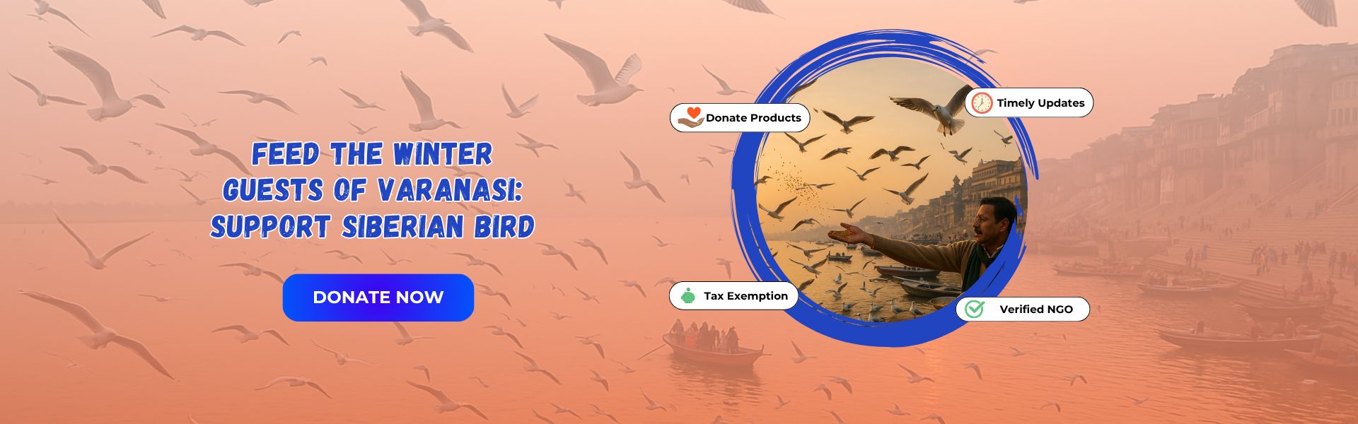 Feed the Winter Guests of Varanasi: Support Siberian Bird