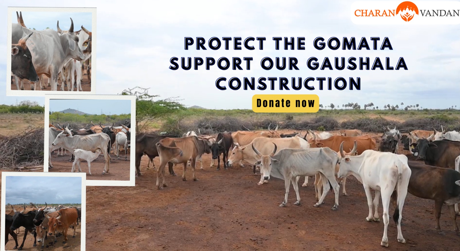 Build a Safe Home for Gau Mata in Tirunelveli
