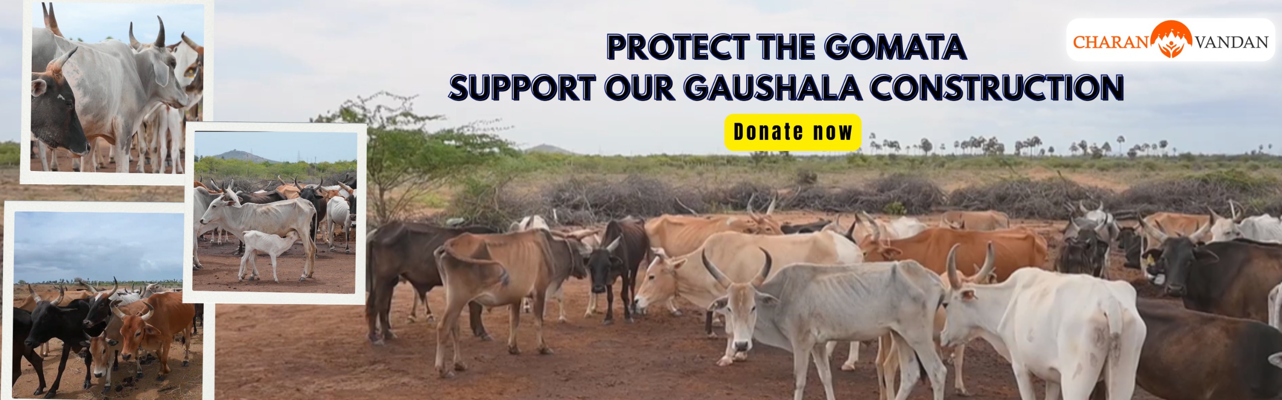 Build a Safe Home for Gau Mata in Tirunelveli