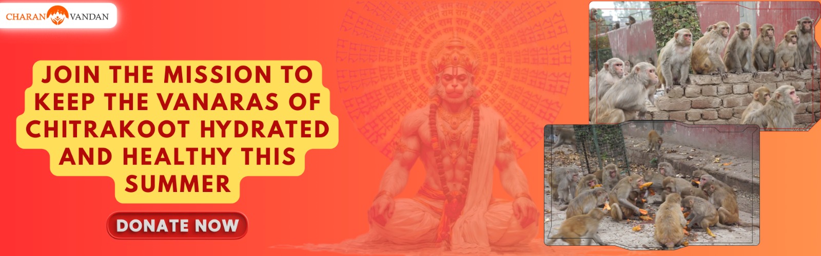 Join the Mission to keep the Vanaras of Chitrakoot Hydrated and Healthy this Summer