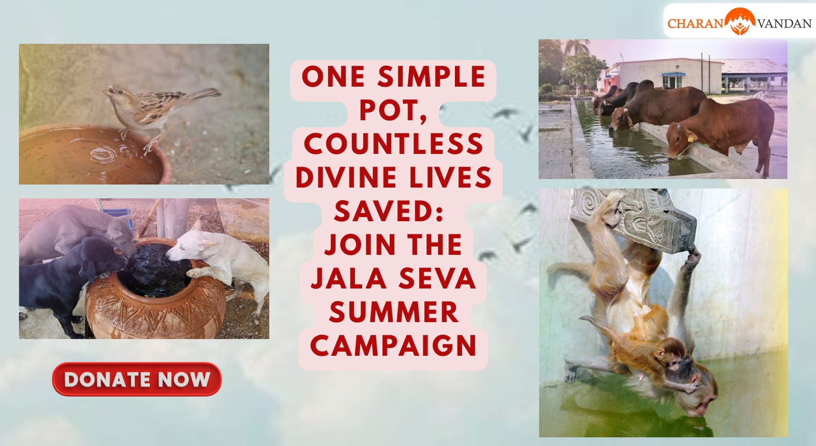 One Simple Pot, Countless Divine Lives Saved. Join The Jala Seva Summer Campaign.