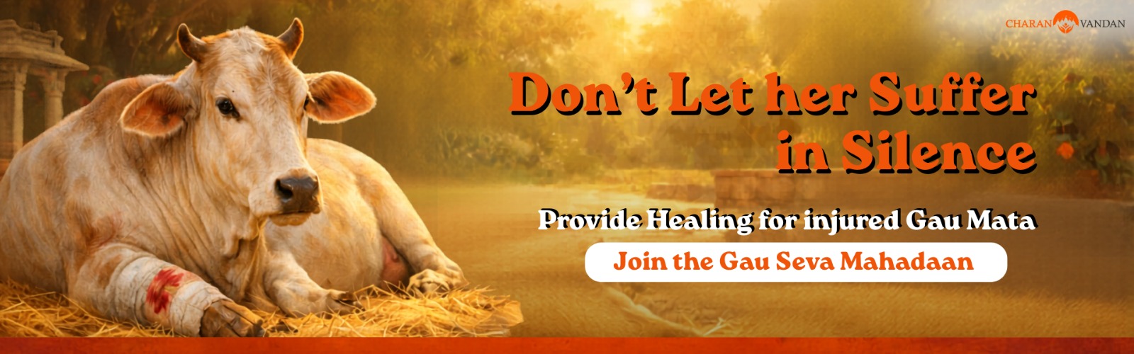 Gau Seva Mahadaan: A Sacred Lifeline of Green Fodder, Healing, and Shelter