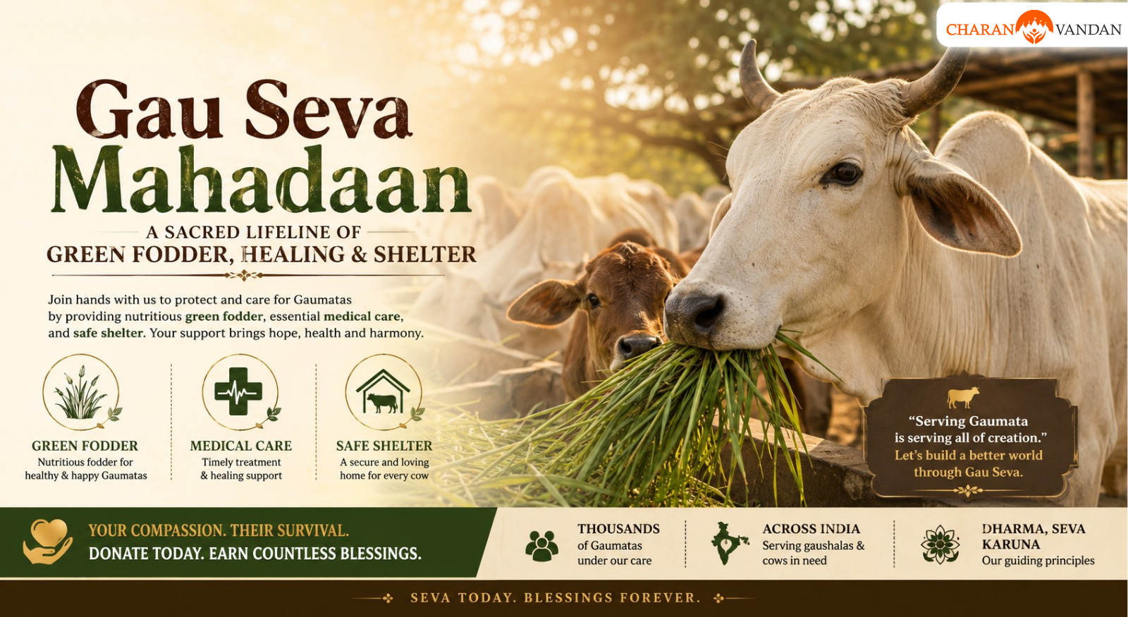 Gau Seva Mahadaan: A Sacred Lifeline of Green Fodder, Healing, and Shelter