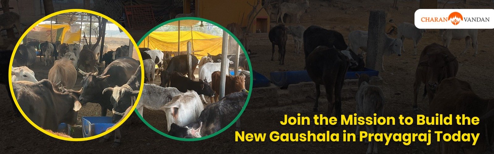 Build a Sanctuary of Grace: Construction of New Gaushala in Prayagraj
